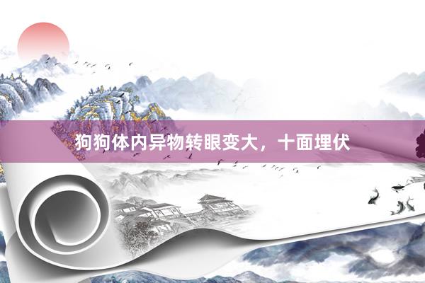 狗狗体内异物转眼变大，十面埋伏