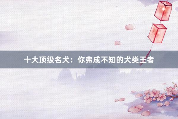 十大顶级名犬：你弗成不知的犬类王者