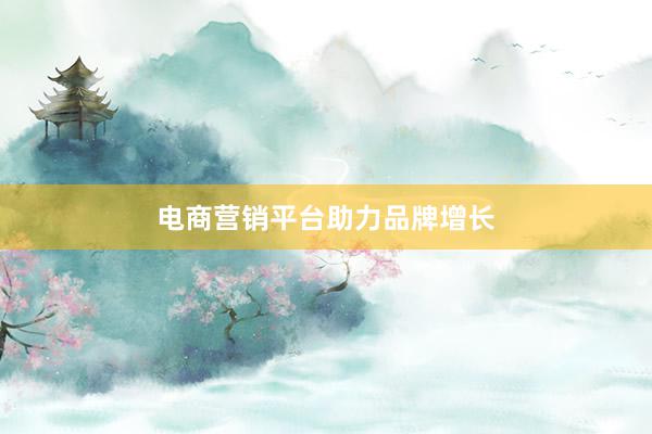 电商营销平台助力品牌增长